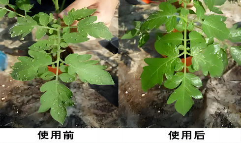 Un actor versátil en el mundo de los silanos Análisis en profundidad del cloruro de clorometildimetilsililo (HC-CM2123) y sus perspectivas de aplicación